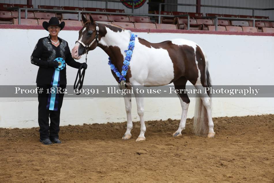 Proof 18R2_00391