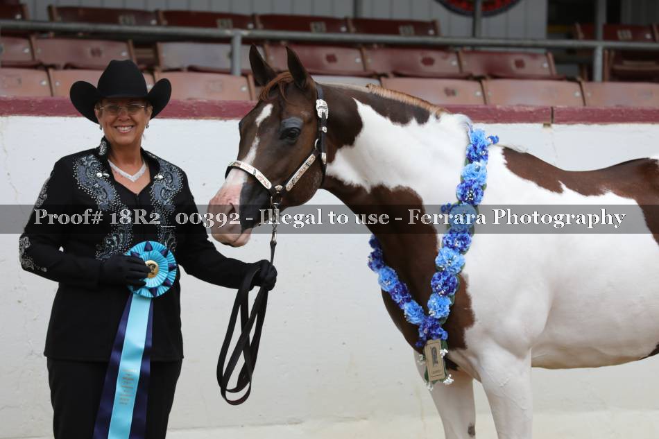 Proof 18R2_00392