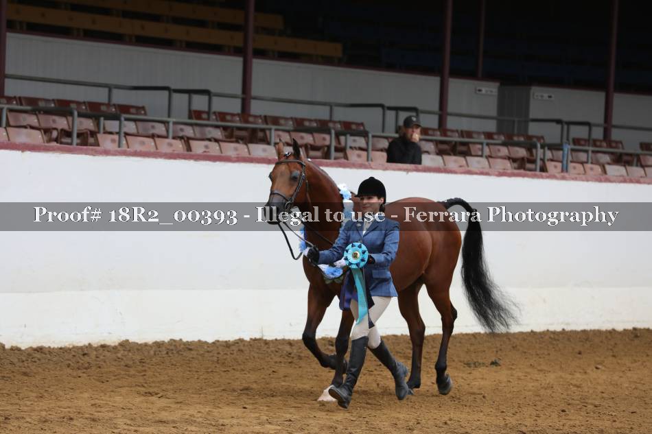 Proof 18R2_00393