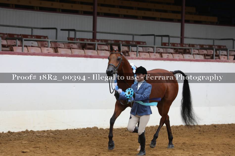 Proof 18R2_00394