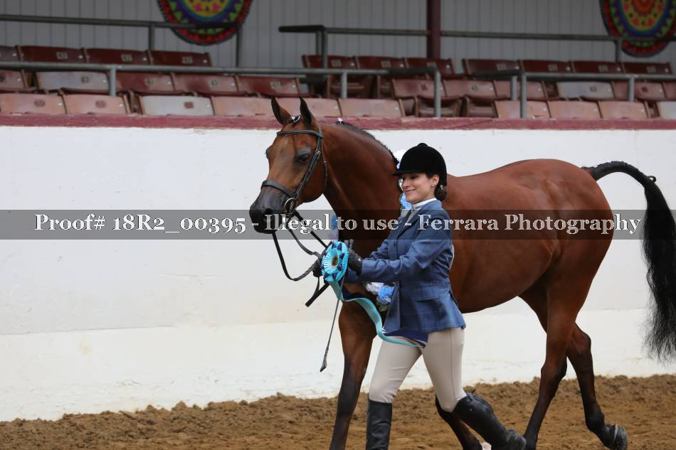 Proof 18R2_00395