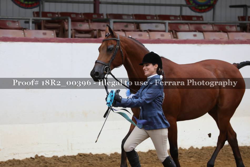 Proof 18R2_00396