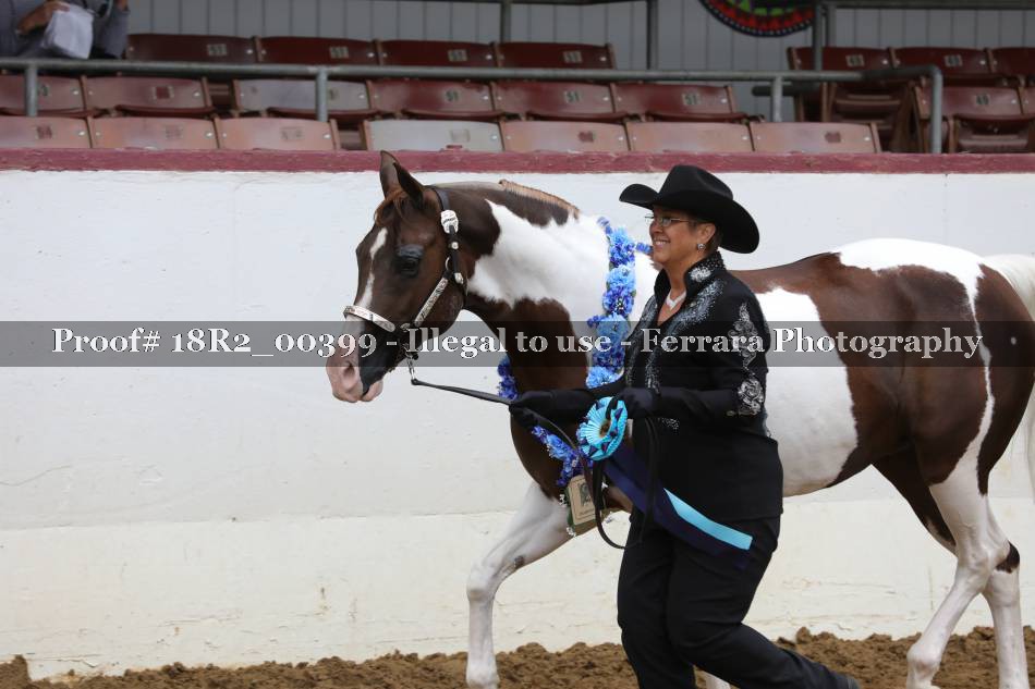 Proof 18R2_00399