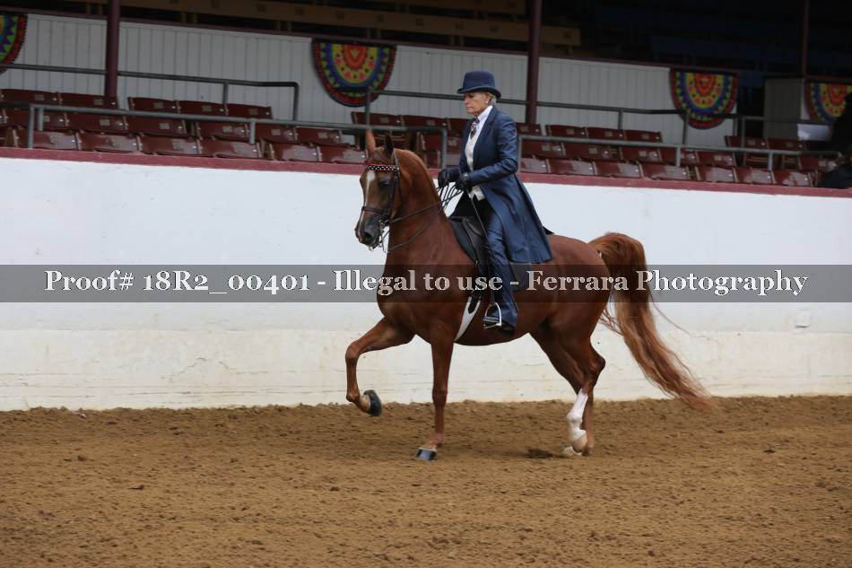 Proof 18R2_00401