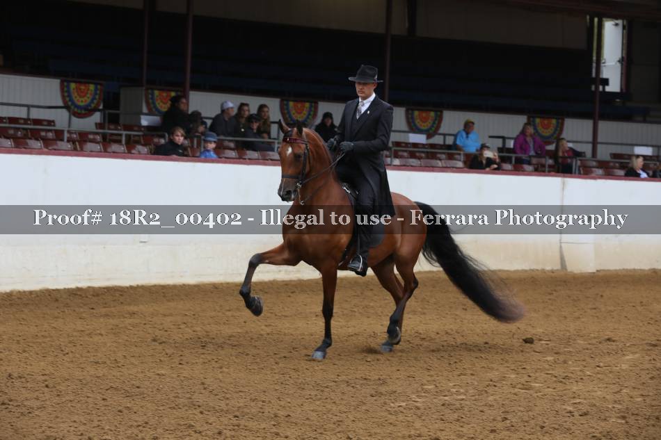 Proof 18R2_00402