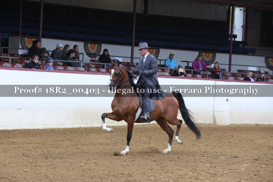 Proof 18R2_00403