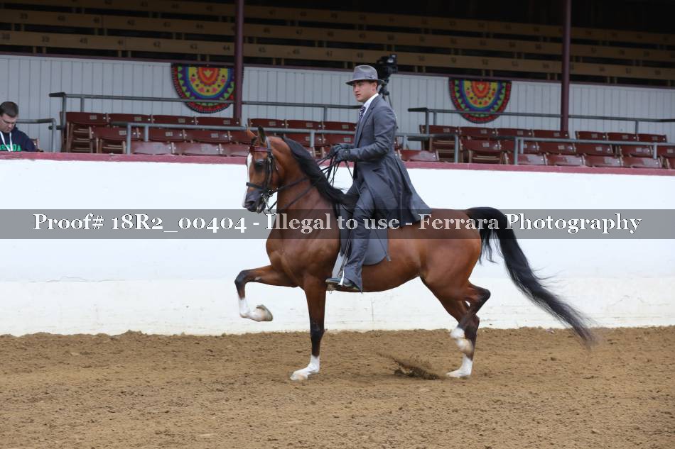 Proof 18R2_00404