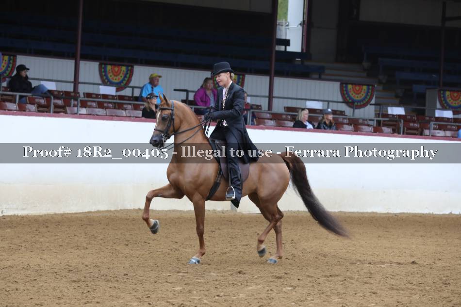 Proof 18R2_00405
