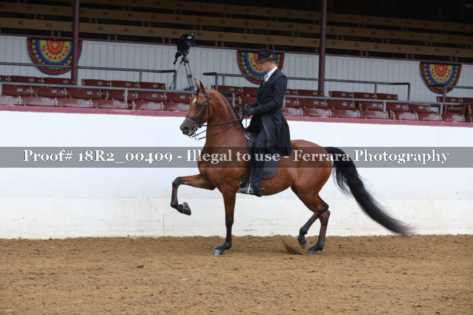 Proof 18R2_00409
