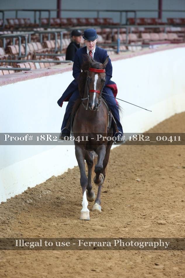 Proof 18R2_00411