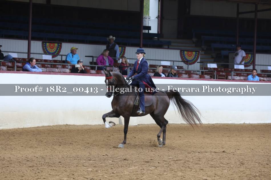 Proof 18R2_00413