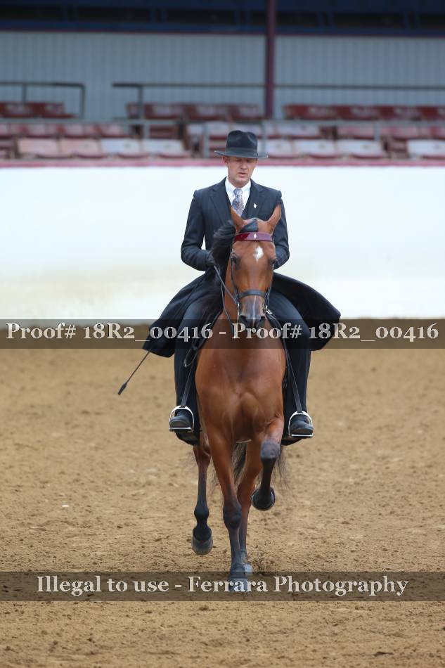Proof 18R2_00416