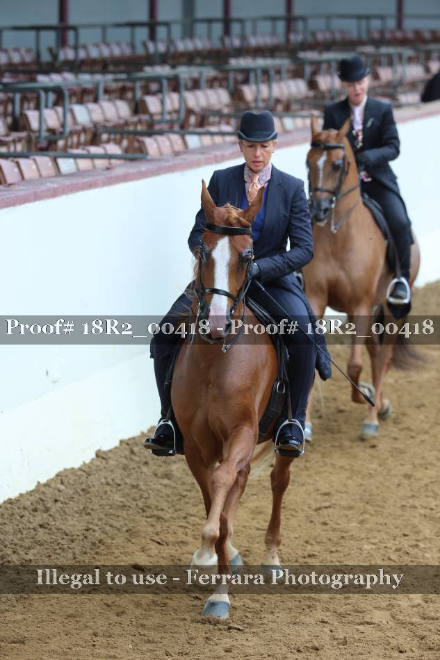 Proof 18R2_00418