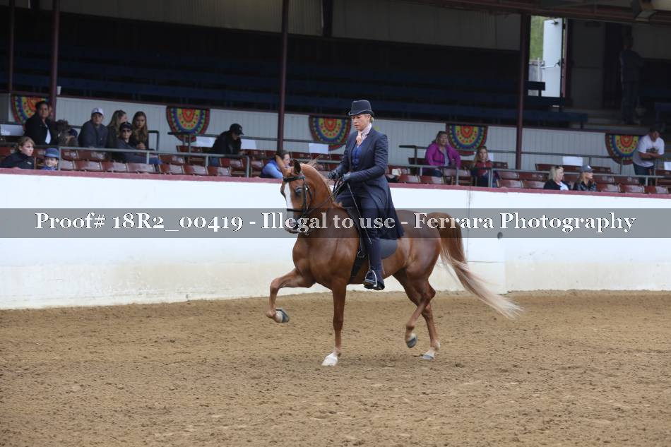 Proof 18R2_00419