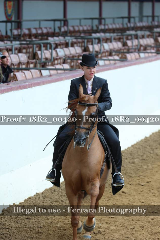 Proof 18R2_00420