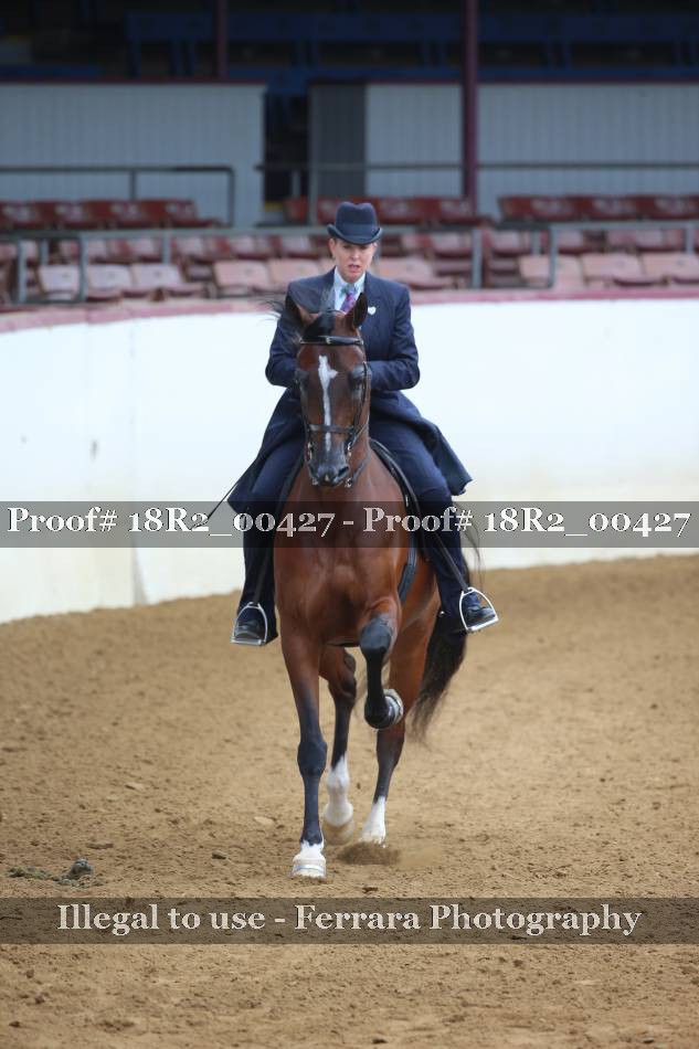 Proof 18R2_00427