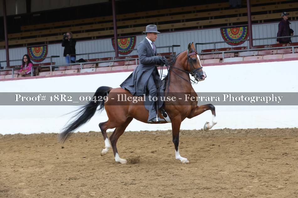 Proof 18R2_00429