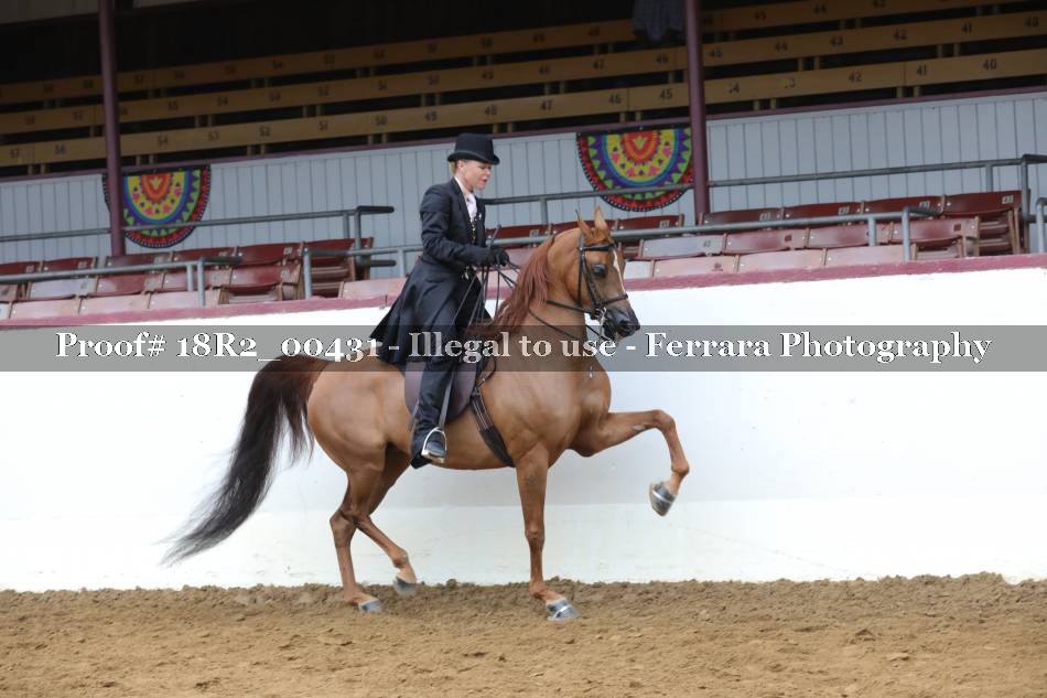 Proof 18R2_00431