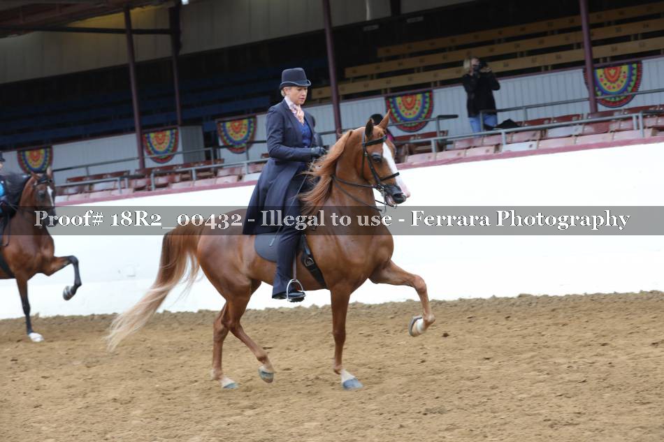 Proof 18R2_00432