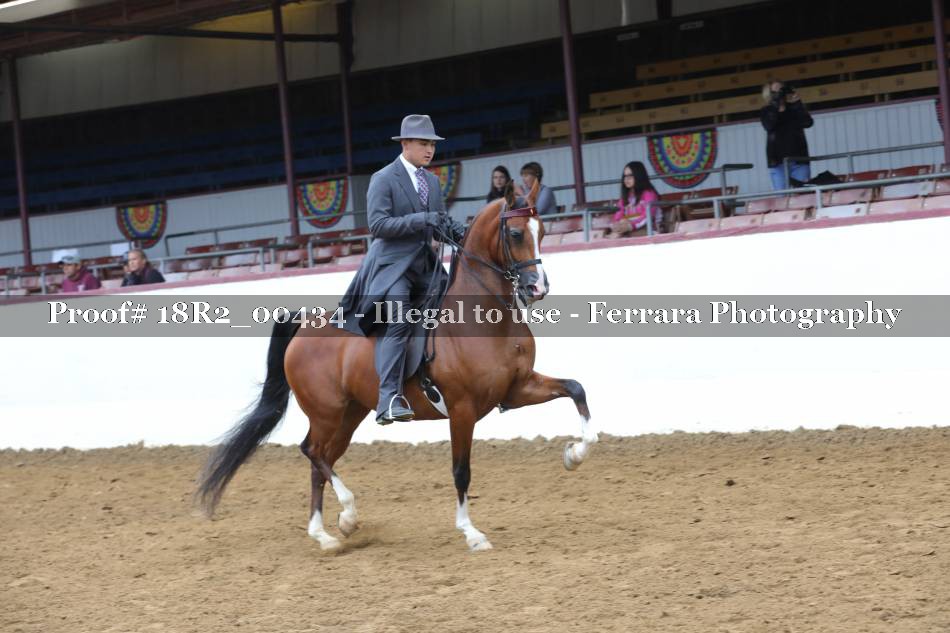 Proof 18R2_00434