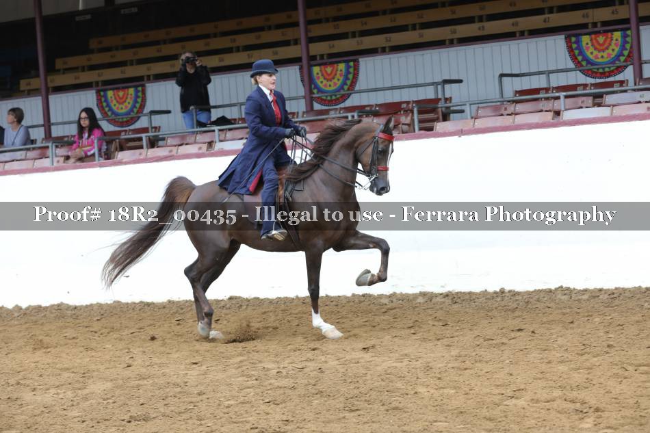 Proof 18R2_00435