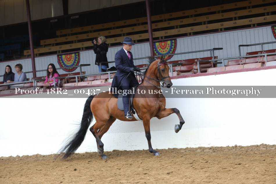 Proof 18R2_00437