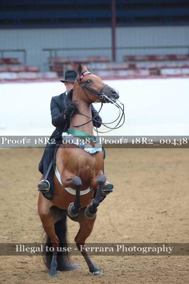 Proof 18R2_00438