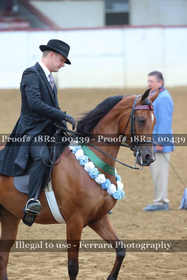 Proof 18R2_00439