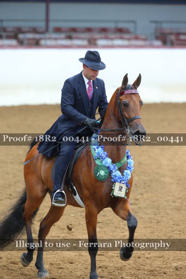 Proof 18R2_00441