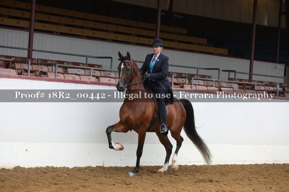 Proof 18R2_00442