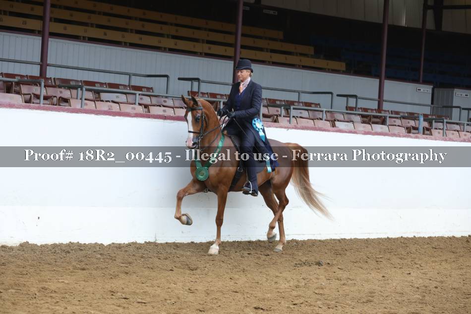 Proof 18R2_00445