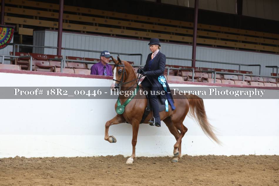 Proof 18R2_00446