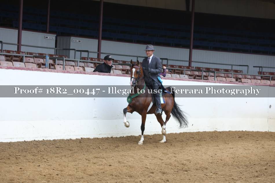 Proof 18R2_00447