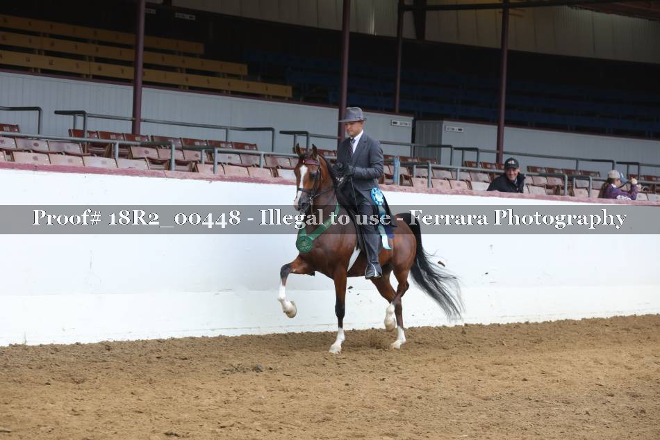 Proof 18R2_00448