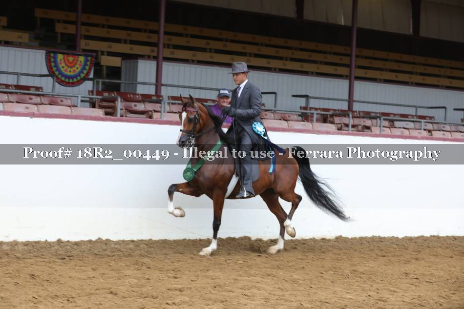 Proof 18R2_00449
