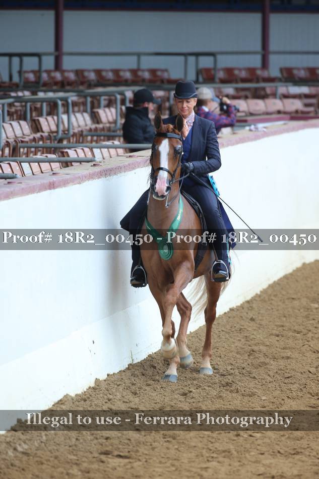 Proof 18R2_00450
