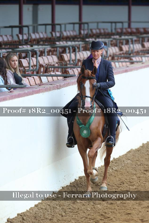 Proof 18R2_00451