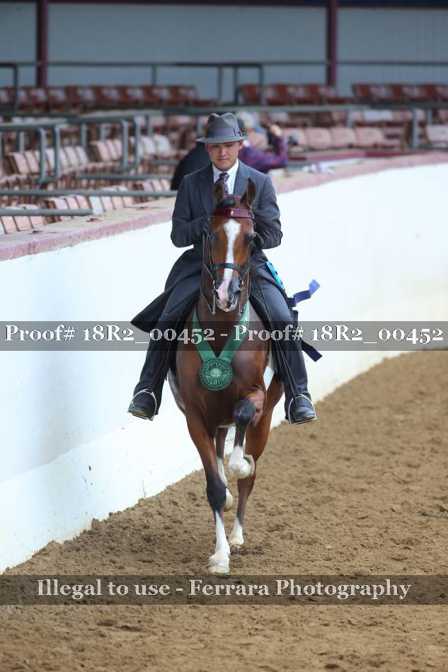 Proof 18R2_00452