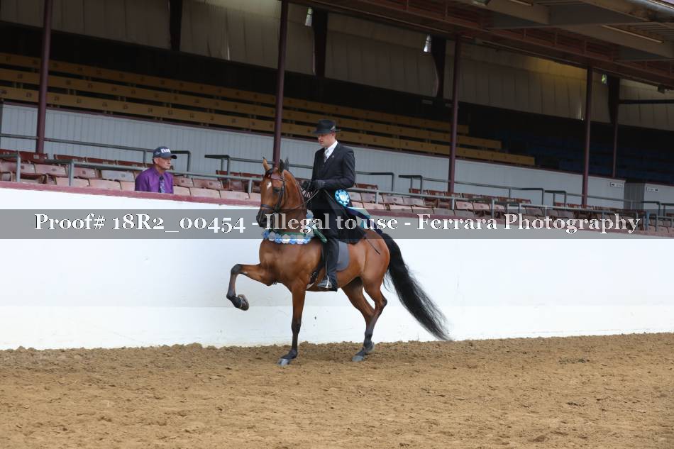 Proof 18R2_00454