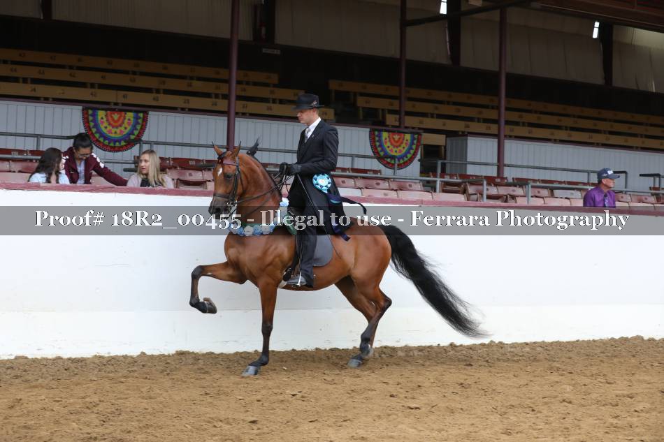 Proof 18R2_00455