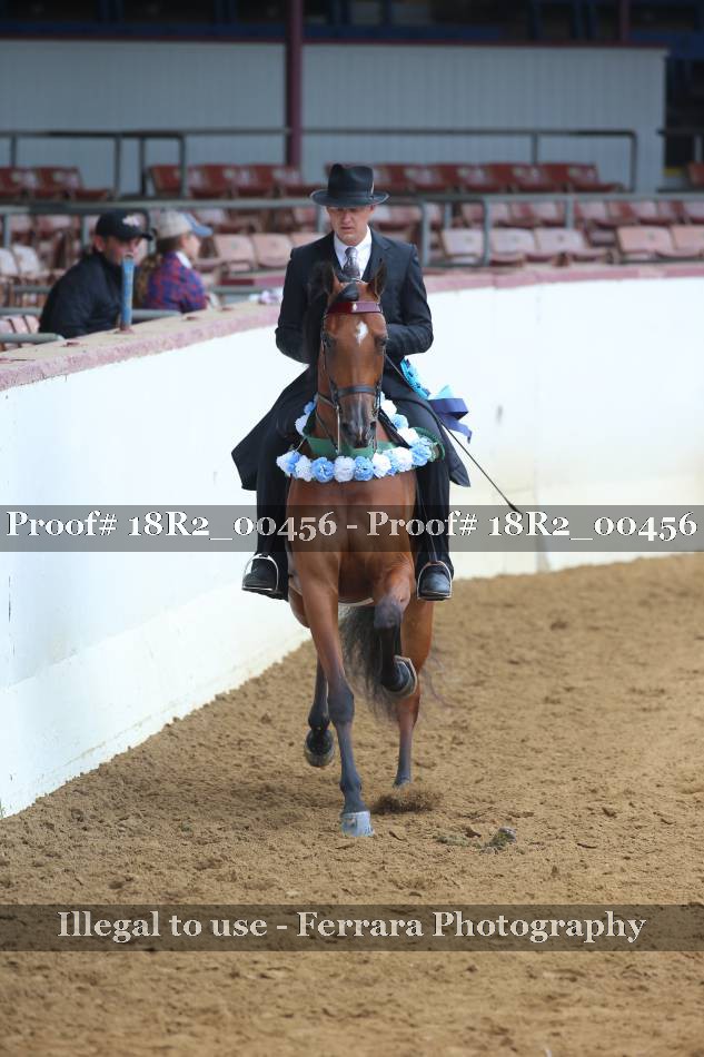 Proof 18R2_00456