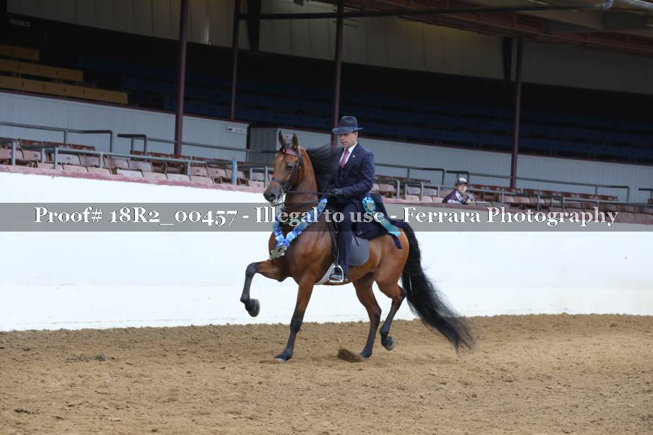 Proof 18R2_00457