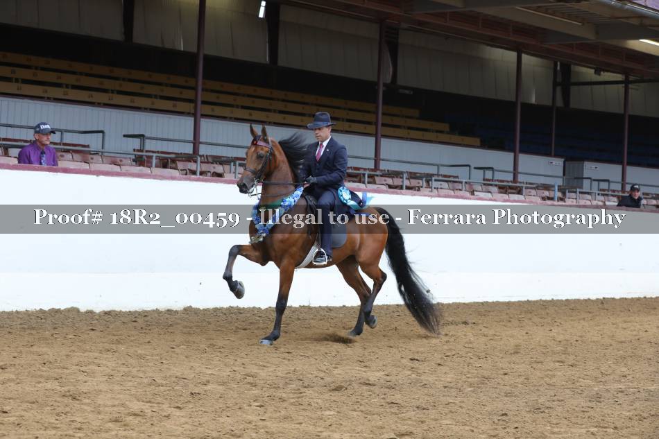 Proof 18R2_00459