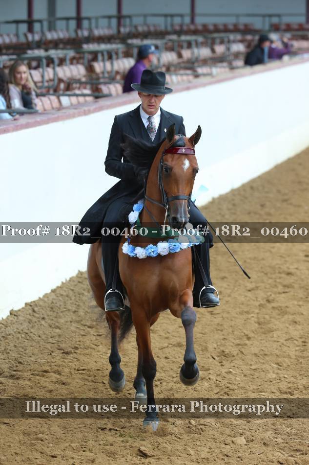 Proof 18R2_00460
