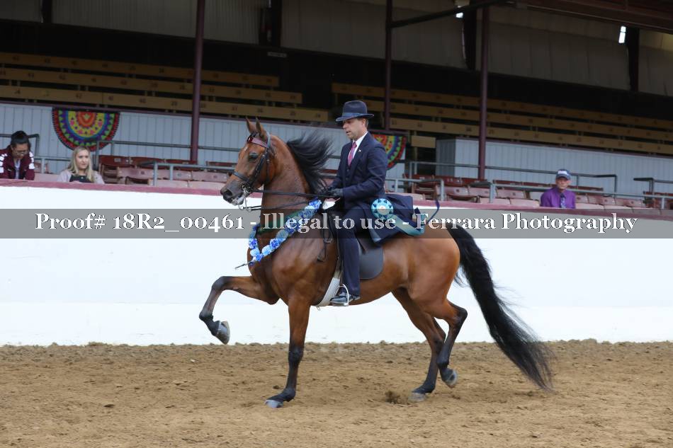 Proof 18R2_00461