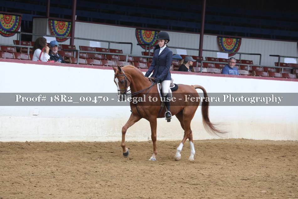 Proof 18R2_00470