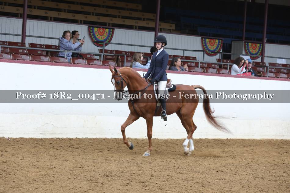 Proof 18R2_00471