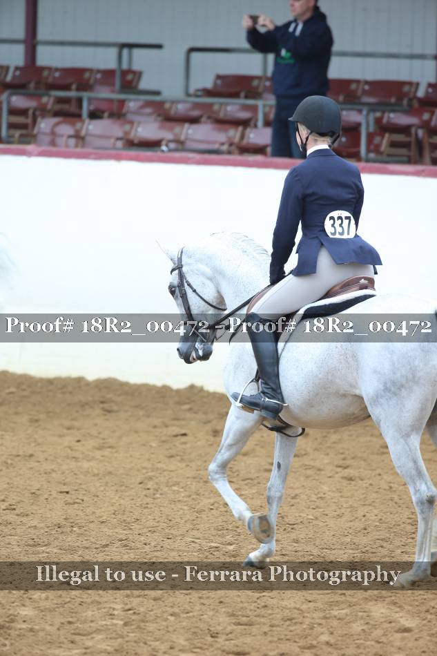 Proof 18R2_00472