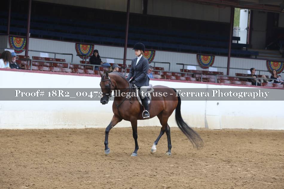 Proof 18R2_00473