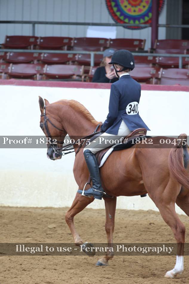 Proof 18R2_00475